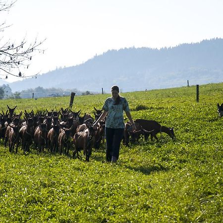 Agroturistika kozí farma Rožnov pod Radhoštěm Exterior foto