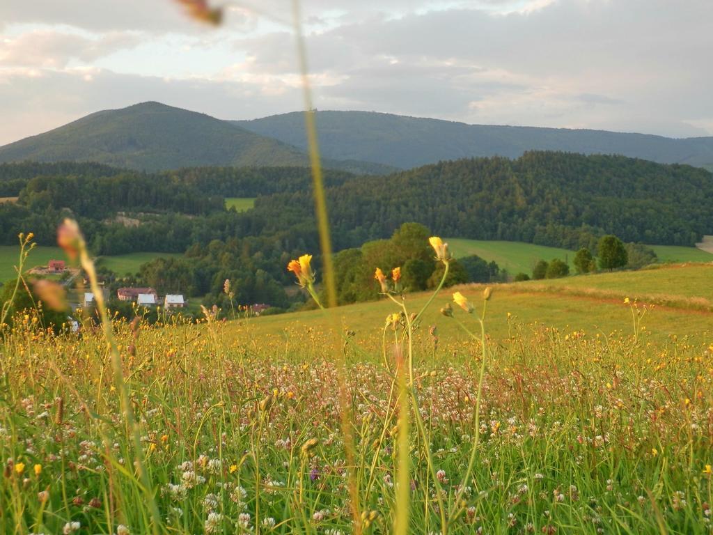 Agroturistika kozí farma Rožnov pod Radhoštěm Habitación foto